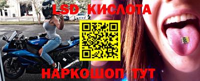 крисы Партизанск