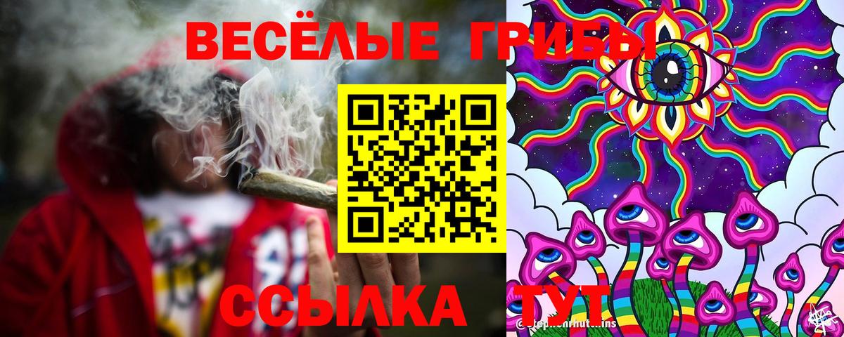 Псилоцибиновые грибы Magic Shrooms Севастополь